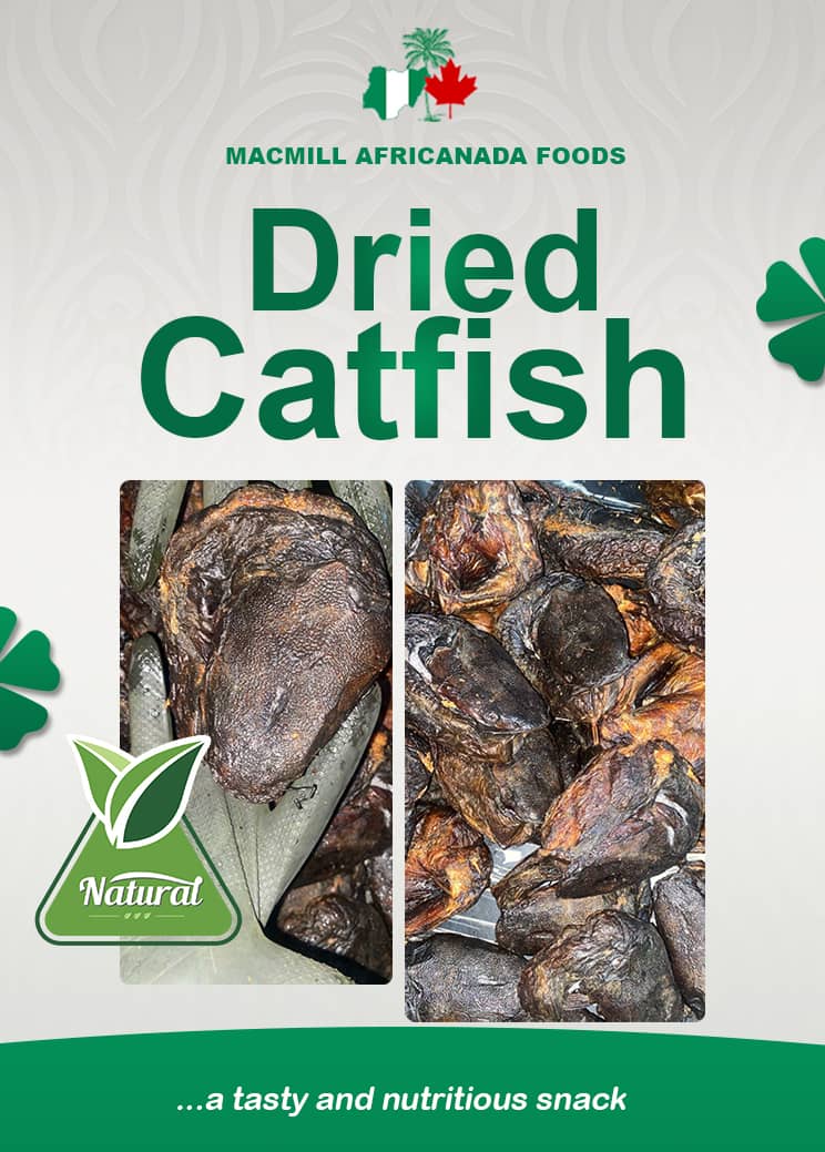 Premium Dried Catfish – Nutritious, Flavorful, and Ready to Enjoy!