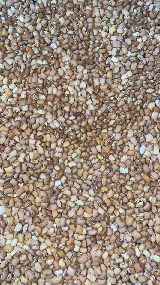 Brown Beans - Nature’s Protein Powerhouse!